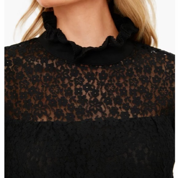 Black Rosalee Sheer Puff Sleeve Blouse
TUCKERNUCK - Picture 4 of 10